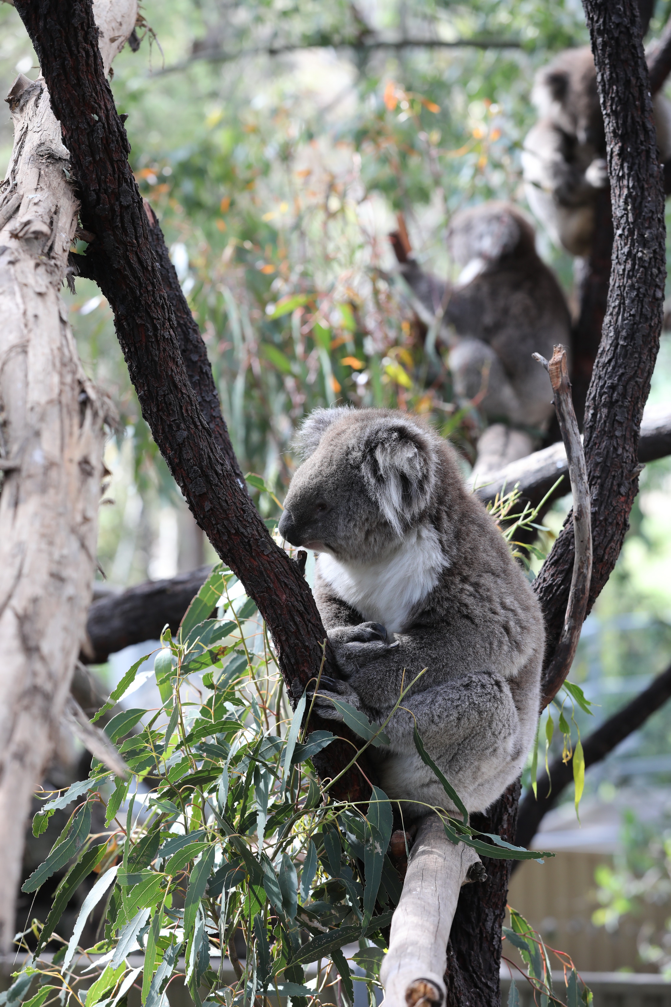 2019 11 22 16 50 14 Canon EOS 5D Mark IV 0040